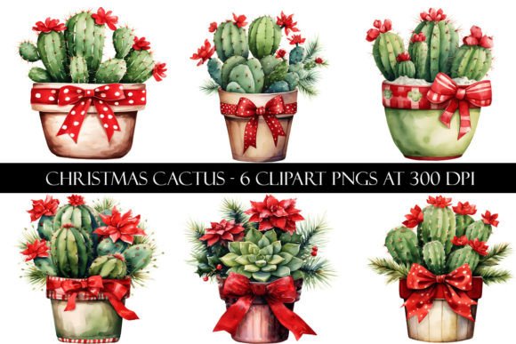 Christmas Cactus Clipart: Premium Illustrations