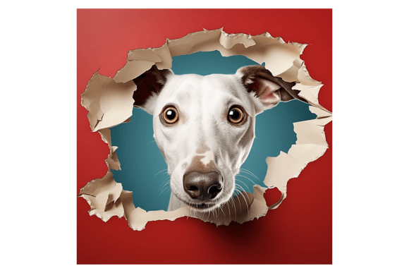 Christmas Whippet Broken Wall 1 Illustrations Review
